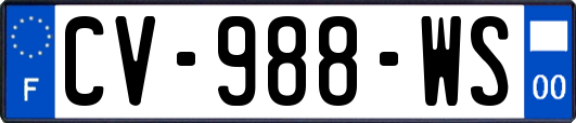 CV-988-WS