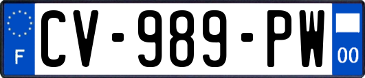 CV-989-PW