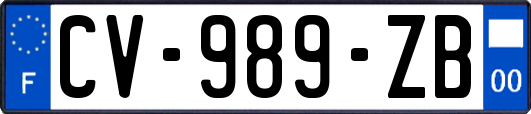 CV-989-ZB