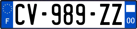 CV-989-ZZ