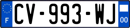 CV-993-WJ