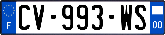 CV-993-WS