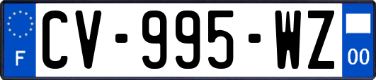 CV-995-WZ