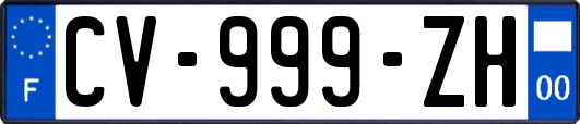 CV-999-ZH