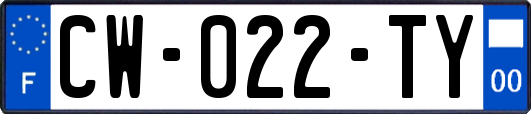 CW-022-TY