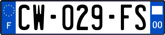 CW-029-FS