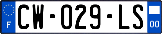 CW-029-LS