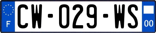 CW-029-WS