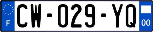 CW-029-YQ