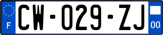 CW-029-ZJ