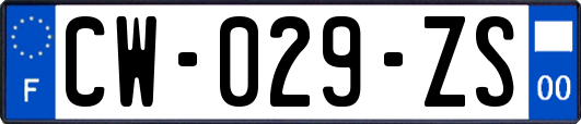 CW-029-ZS