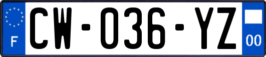 CW-036-YZ