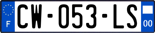 CW-053-LS