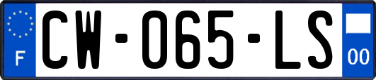 CW-065-LS