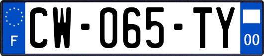 CW-065-TY