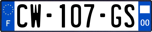 CW-107-GS