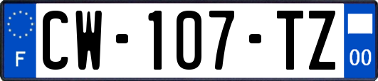 CW-107-TZ