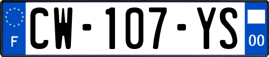 CW-107-YS