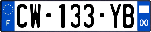 CW-133-YB