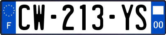 CW-213-YS