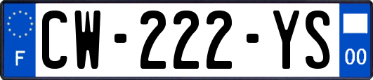 CW-222-YS