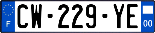 CW-229-YE