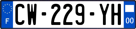 CW-229-YH