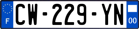 CW-229-YN