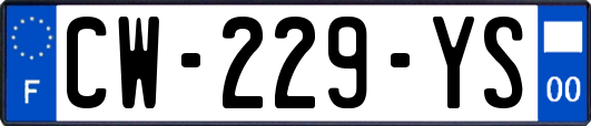 CW-229-YS