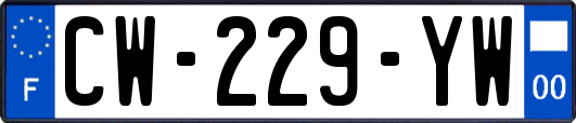 CW-229-YW