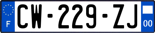 CW-229-ZJ