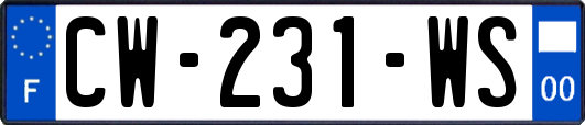 CW-231-WS