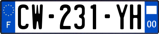 CW-231-YH