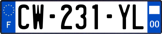 CW-231-YL