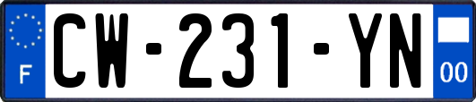 CW-231-YN