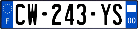 CW-243-YS