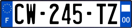 CW-245-TZ