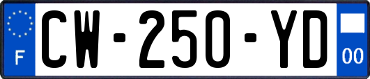 CW-250-YD