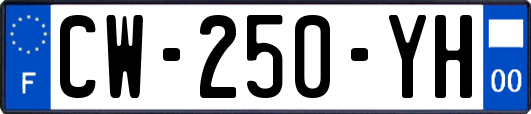 CW-250-YH