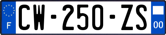 CW-250-ZS