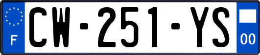 CW-251-YS