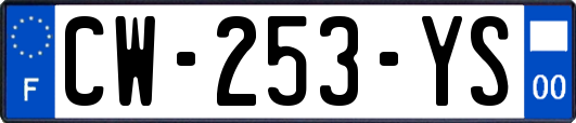 CW-253-YS