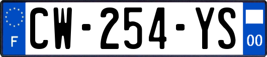 CW-254-YS