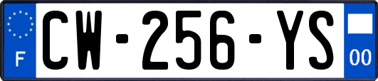 CW-256-YS