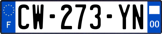 CW-273-YN