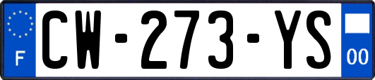 CW-273-YS