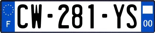 CW-281-YS