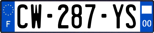 CW-287-YS