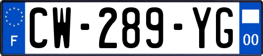 CW-289-YG