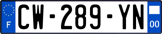 CW-289-YN